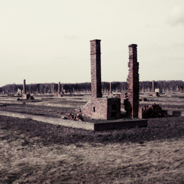 Birkenau BIIb